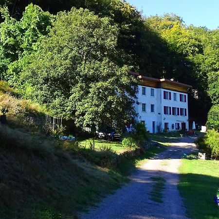 Domaine L'Imperatrice Leilighet Plombières-les-Bains Eksteriør bilde